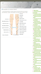 Mobile Screenshot of inferieurarticulations.net